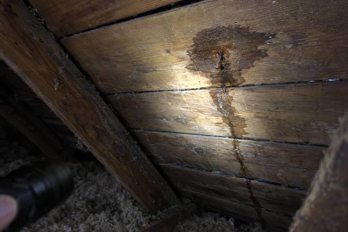 Flashlight beam on the underside of plank roof decking in a dim attic with a dark water stain spreading around a nail tip